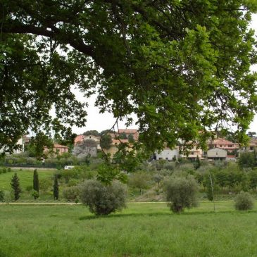 PISTE CICLABILI. E’ DI NUOVO POLEMICA