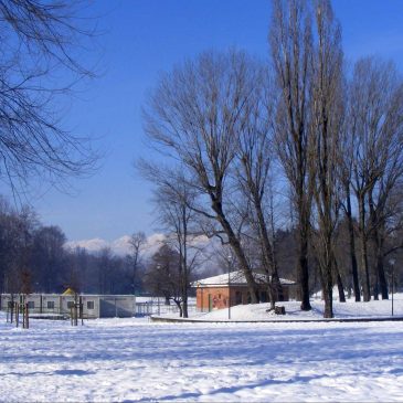 METEO: NUOVA ONDATA DI FREDDO