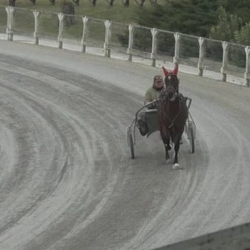 PRIMO CORSO PER MANISCALCO