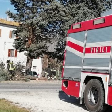 RAFFICHE DI VENTO SU TUTTA LA REGIONE