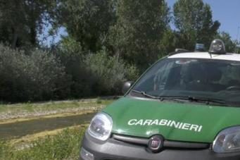 ANCONA: OPERAZIONE CONTRO IL TRAFFICO DI RIFIUTI PERICOLOSI