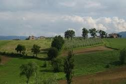 AGRICOLTURA: UN SOSPIRO DI SOLLIEVO DOPO IL MAGGIO PIOVOSO