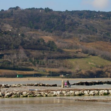 A PESARO I BAMBINI PULISCONO LA SPIAGGIA