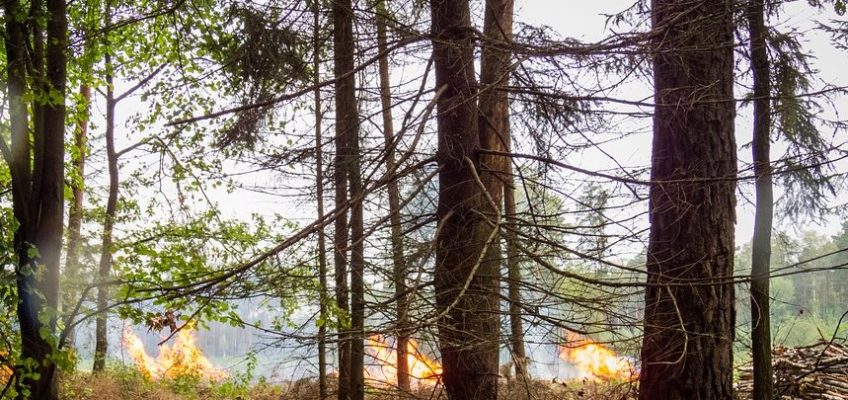 FIUMINATA, A FUOCO 70 ETTARI DI BOSCO