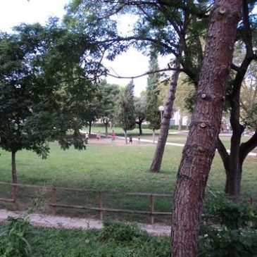 TROVA DEI GIOIELLI IN UN PARCO E LI RESTITUISCE