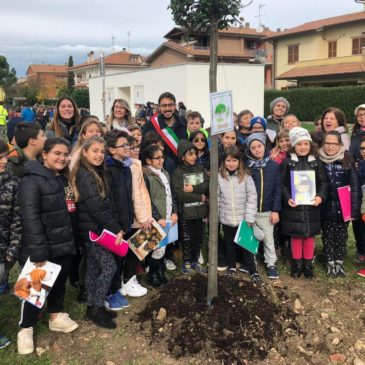 LE MARCHE CELEBRANO LA FESTA DELL’ALBERO