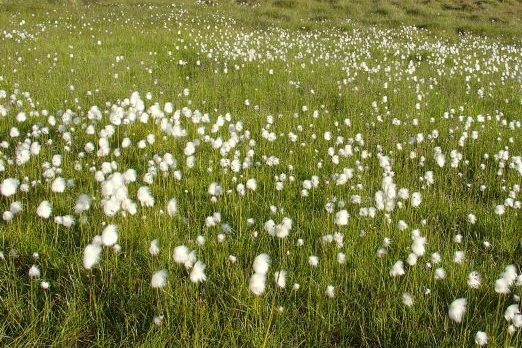 PRIMAVERA “FUORI STAGIONE”