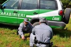 CARABINIERI FORESTALI: IL BILANCIO DI UN ANNO DI ATTIVITA’ NELLE MARCHE