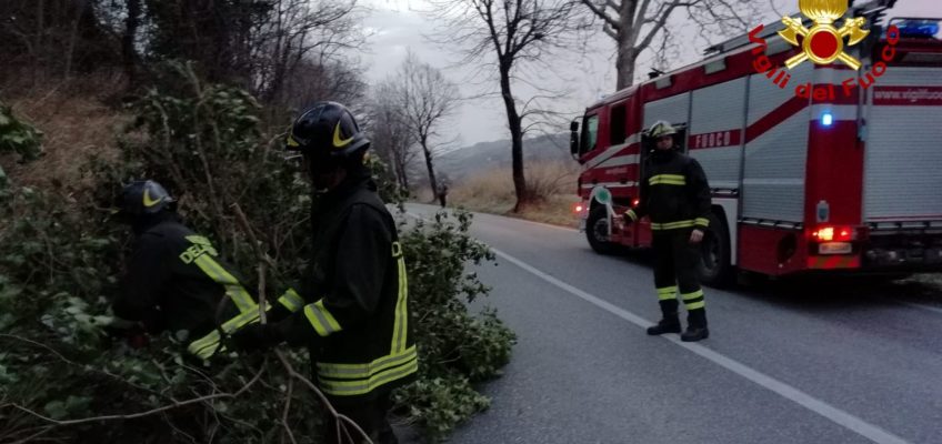 VENTO NELLE MARCHE: DECINE DI INTERVENTI