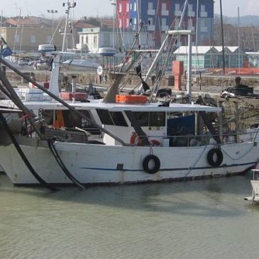 IL COVID E LE RIPERCUSSIONI SUL MONDO DELLA PESCA