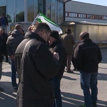 GRUPPO MARGHERITA CHIUDE SITO DI OSIMO,100 LICENZIAMENTI