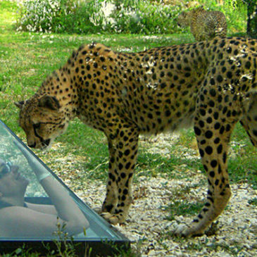 LA BIODIVERSITA’ AL PARCO ZOO DI FALCONARA