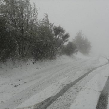 FRENA LA PRIMAVERA, NEVE E TEMPERATURE IN PICCHIATA