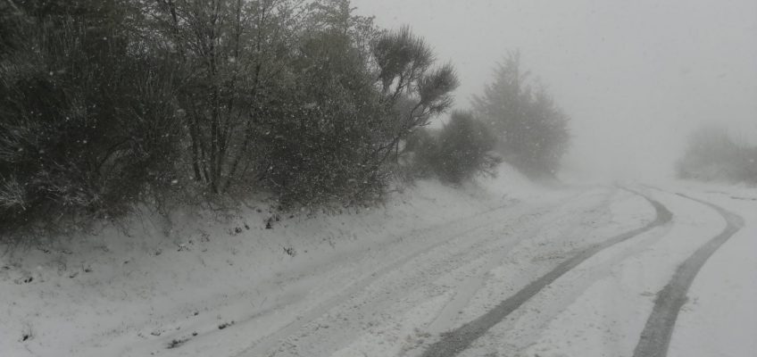 FRENA LA PRIMAVERA, NEVE E TEMPERATURE IN PICCHIATA