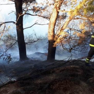 FIAMME DIVAMPANO A PORTONOVO