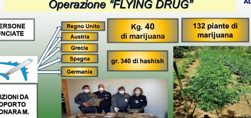 TRAFFICO INTERNAZIONALE DI DROGA SCOPERTO A FALCONARA