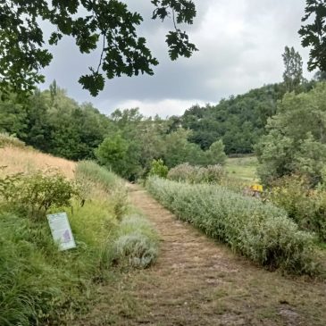 IL GIARDINO DELLE FARFALLE COMPIE DIECI ANNI