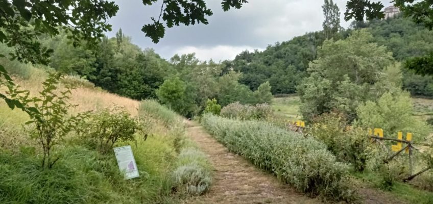 IL GIARDINO DELLE FARFALLE COMPIE DIECI ANNI