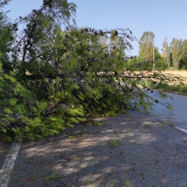 NUBIFRAGIO NELL’ANCONETANO, DISAGI ALLA VIABILITA’