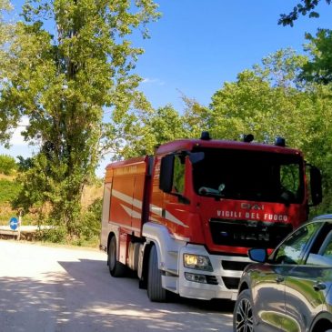 IN FIAMME I BOSCHI DELLE CESANE DI URBINO E MONTE CERIGNONE (PU)