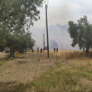 JESI, IL ROGO DIVAMPATO A CAUSA DI SCINTILLE PARTITE DA UN CANTIERE EDILE