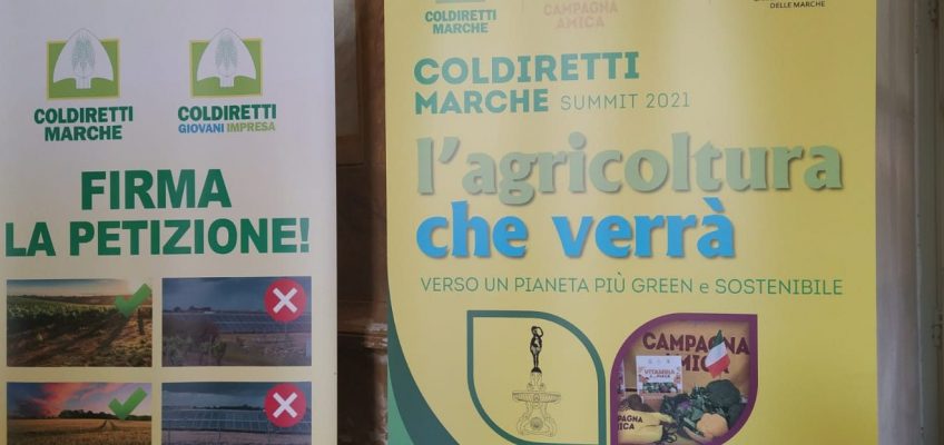 L’AGRICOLTURA CHE VERRA’