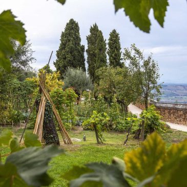 GIORNATE FAI SUL COLLE DELL’INFINITO, UN’OASI DI POESIA E BIODIVERSITA’