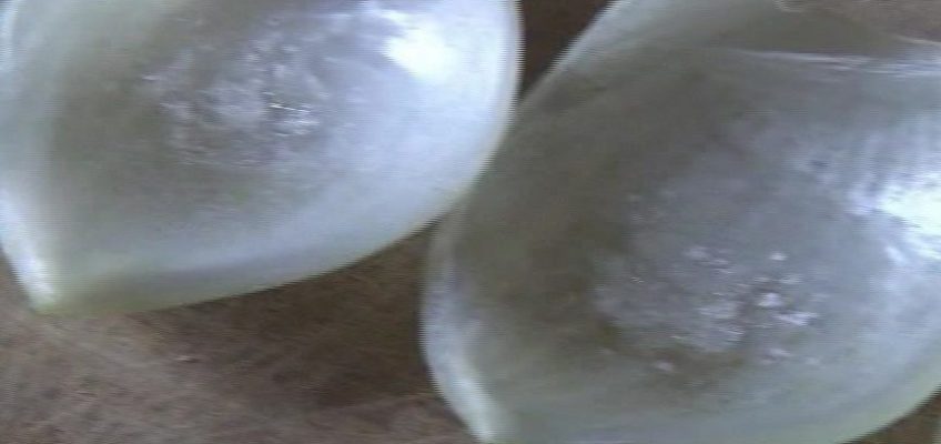 METEO 2022, IL RESPONSO DELLE CIPOLLE