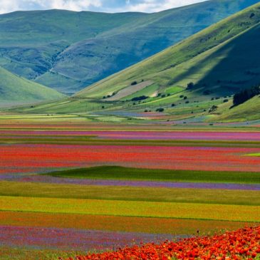 E’ LA STAGIONE PIU’ ATTESA DELL’ANNO MA SPESSO SI ACCOMPAGNA A VARI DISTURBI: ECCO SPIEGATO IL” MAL DI PRIMAVERA”