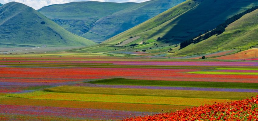 E’ LA STAGIONE PIU’ ATTESA DELL’ANNO MA SPESSO SI ACCOMPAGNA A VARI DISTURBI: ECCO SPIEGATO IL” MAL DI PRIMAVERA”