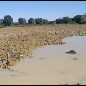 DOPO L’ALLARME NELLA NOTTE, RIENTRATA LA PIENA DEL MISA A BETTOLELLE DI SENIGALLIA