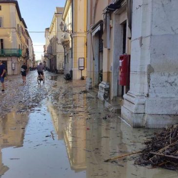 DOPO L’ ALLUVIONE, SCIACALLI IN AZIONE