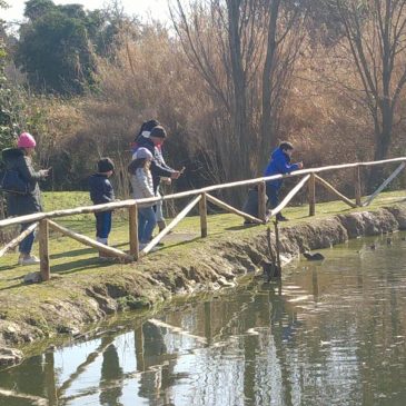 A PESARO IL PARCO MIRALFIORE SVELA I SUOI TESORI “PROTETTI” E CERCA NUOVI ANIMALETTI