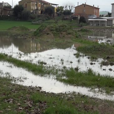 I DANNI DEL MALTEMPO NELLE CAMPAGNE DI MONDOLFO