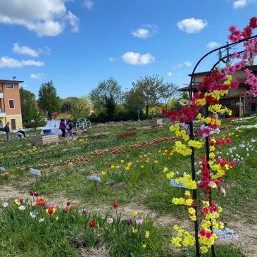 PASQUETTA TRA I FIORI