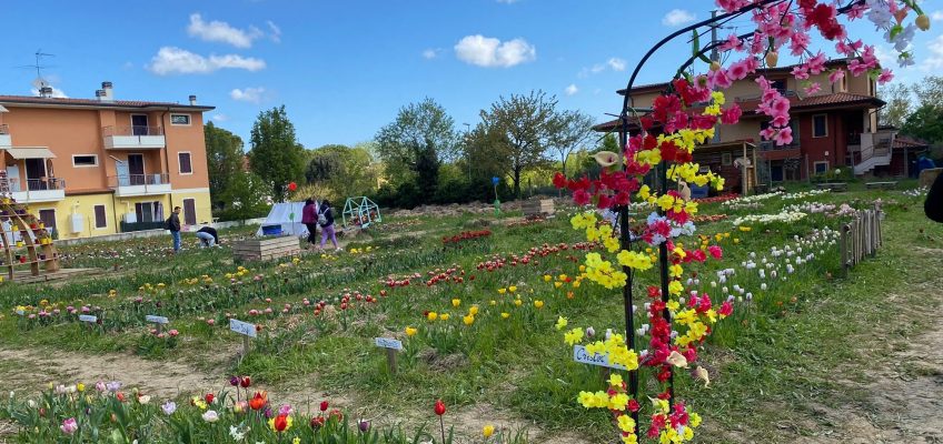 PASQUETTA TRA I FIORI