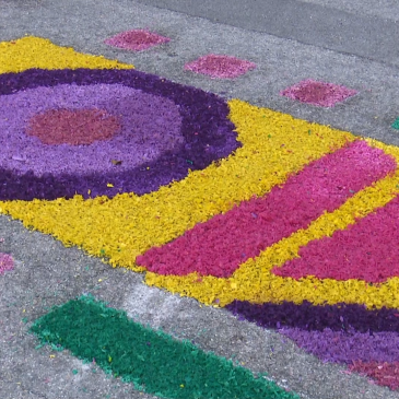 CORRIDONIA SI COLORA CON L’INFIORATA