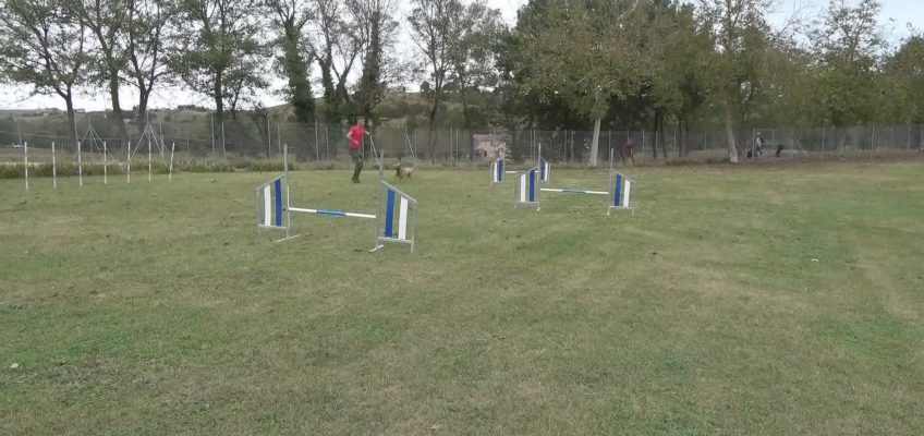 ADDESTRAMENTI AL CENTRO CINOFILO DI CINGOLI