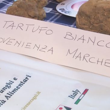 AD ACQUALAGNA INAUGURATA LA FIERA DEL TARTUFO