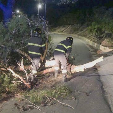 RAFFICHE DI VENTO, DISAGI IN TUTTE LE MARCHE