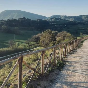 DALLA CITTA’ AL MARE TRA IL VERDE DEL PARCO, ECCO LA CICLOPEDONALE DEL CONERO