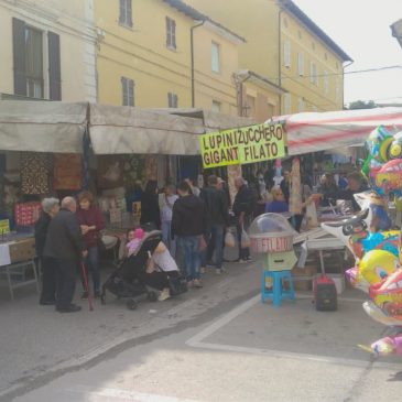 A CASTELLEONE DI SUASA SI FESTEGGIA LA FIERA DEL LUPINO