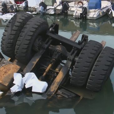 MULETTO CADE IN MARE, TRAGEDIA SFIORATA AD ANCONA