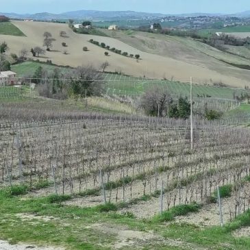 MONCARO: FUTURO INCERTO, POSSIBILE SCIOPERO DEI DIPENDENTI