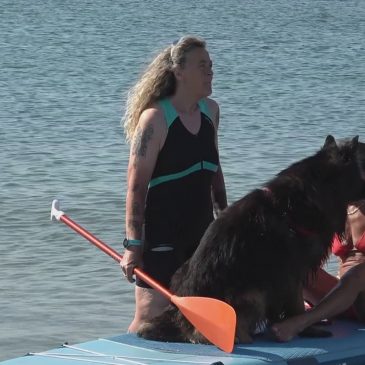 ABBAIA FLAMINIA: LA SPIAGGIA PER CANI DI PESARO