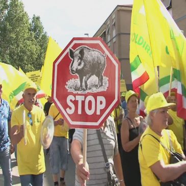 PROTESTA IN REGIONE PER LO STOP ALL’INVASIONE DEI CINGHIALI