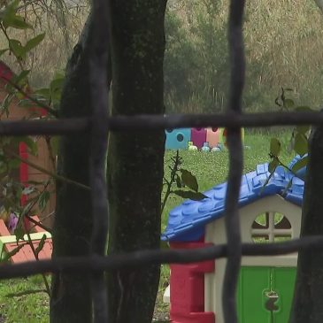 CINGHIALE ENTRA NEL PARCO DI UNA SCUOLA MATERNA DI ANCONA