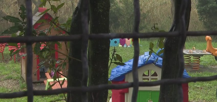 CINGHIALE ENTRA NEL PARCO DI UNA SCUOLA MATERNA DI ANCONA