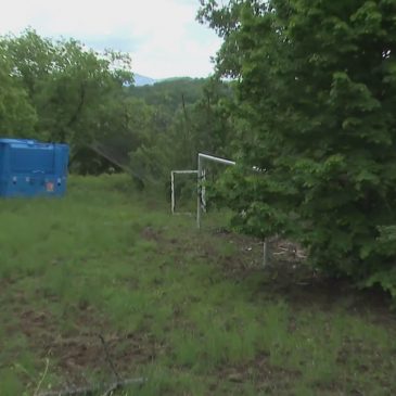 MONTEFORTINO, VIA LIBERA AL RESTYLING DEL CAMPO SPORTIVO