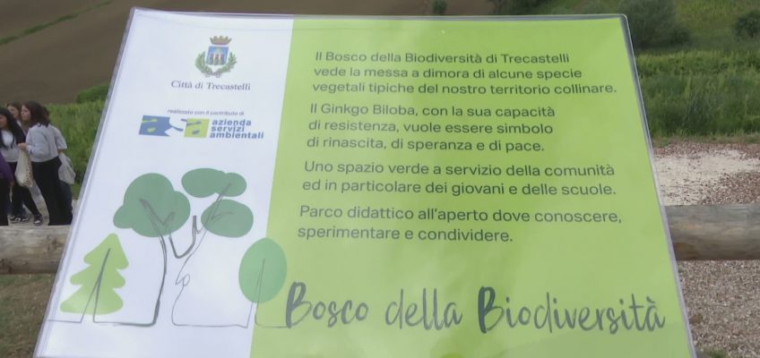 UN BOSCO DELLE BIODIVERSITA’ A TRECASTELLI